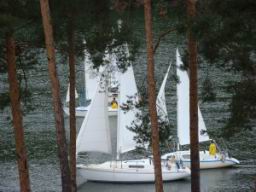 Resize of DSC00965.JPG